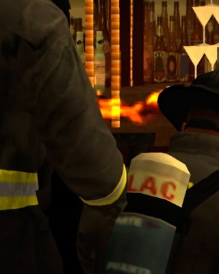 LSFD